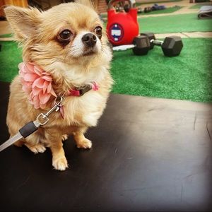 Meet your Posher, Rebekah